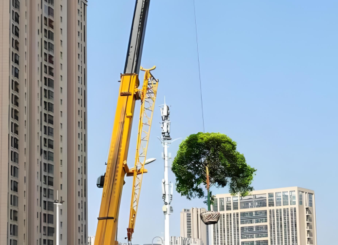 乐清园林绿化电话